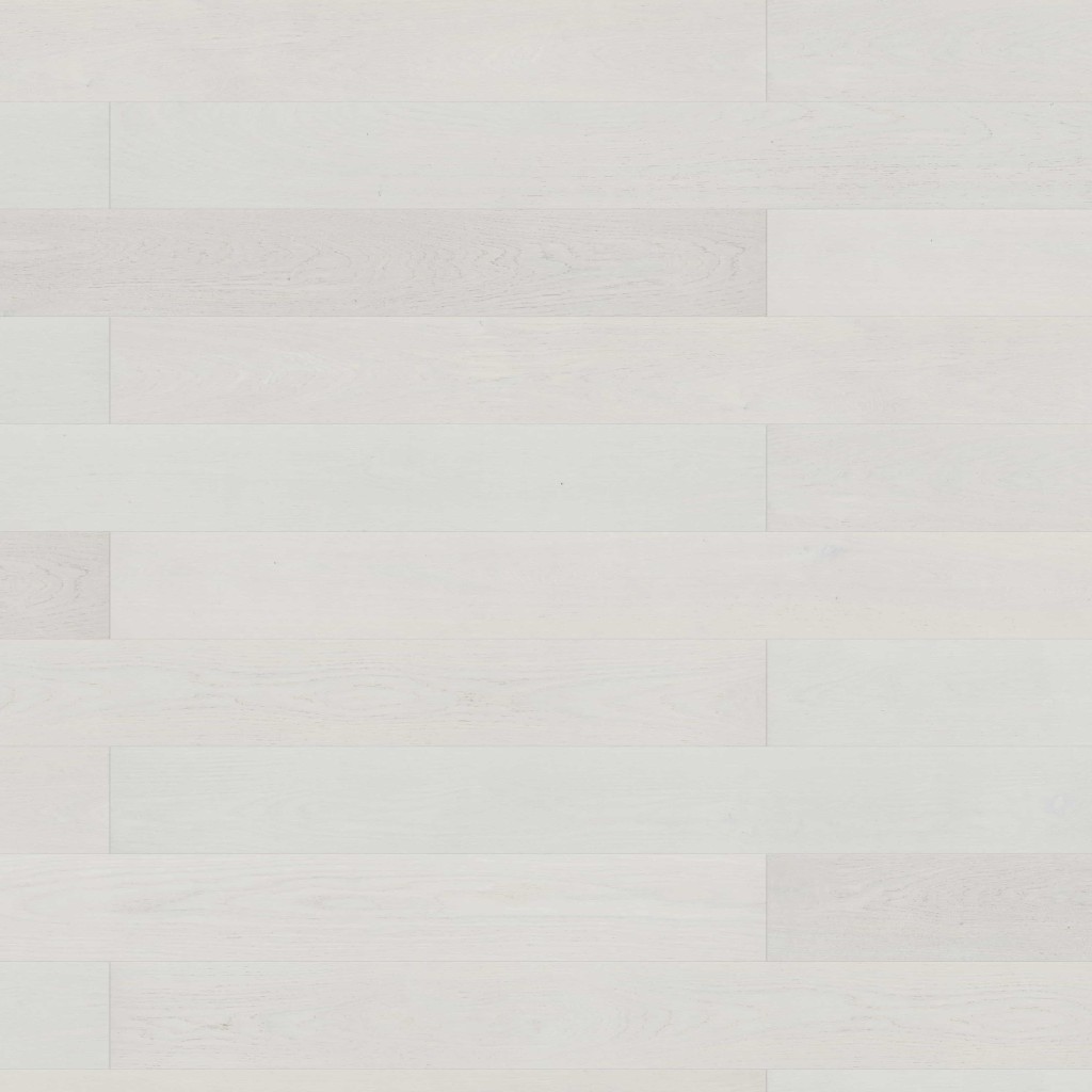 korkshop24.de